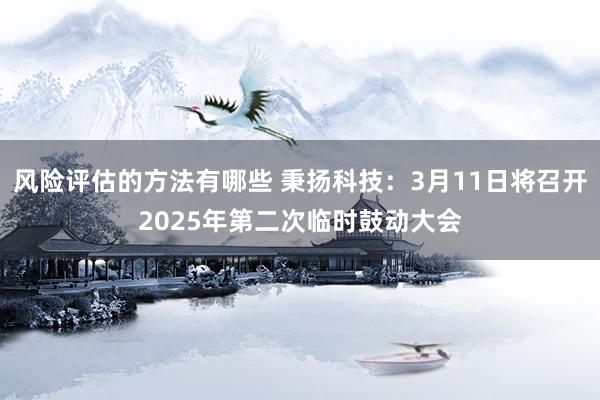 风险评估的方法有哪些 秉扬科技：3月11日将召开2025年第二次临时鼓动大会