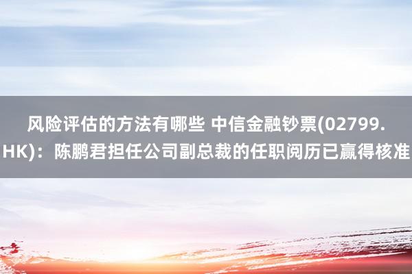 风险评估的方法有哪些 中信金融钞票(02799.HK)：陈鹏君担任公司副总裁的任职阅历已赢得核准