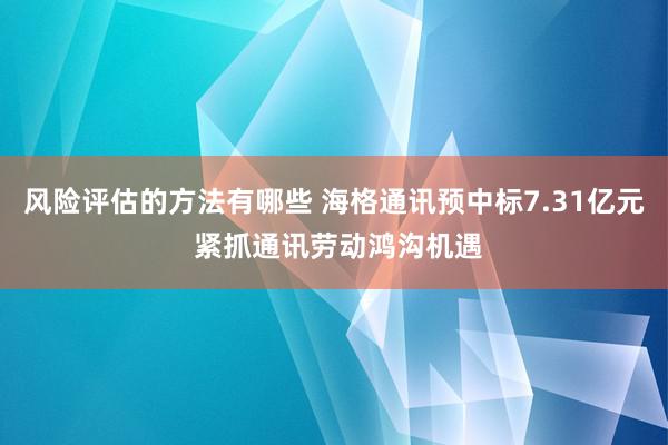 风险评估的方法有哪些 海格通讯预中标7.31亿元 紧抓通讯劳动鸿沟机遇