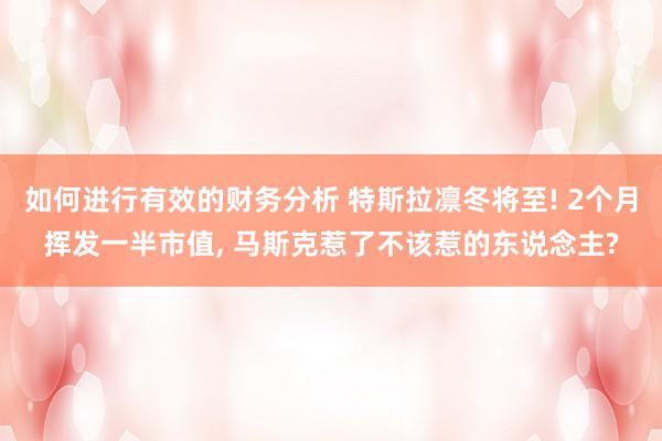 如何进行有效的财务分析 特斯拉凛冬将至! 2个月挥发一半市值, 马斯克惹了不该惹的东说念主?