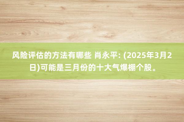 风险评估的方法有哪些 肖永平: (2025年3月2日)可能是三月份的十大气爆棚个股。