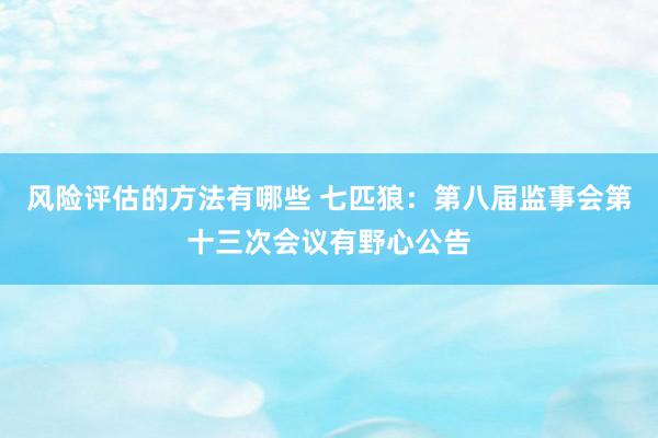 风险评估的方法有哪些 七匹狼：第八届监事会第十三次会议有野心公告