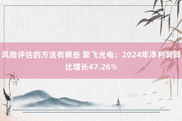 风险评估的方法有哪些 聚飞光电：2024年净利润同比增长47.26%