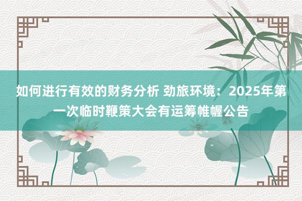 如何进行有效的财务分析 劲旅环境：2025年第一次临时鞭策大会有运筹帷幄公告