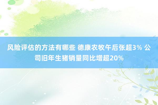 风险评估的方法有哪些 德康农牧午后张超3% 公司旧年生猪销量同比增超20%