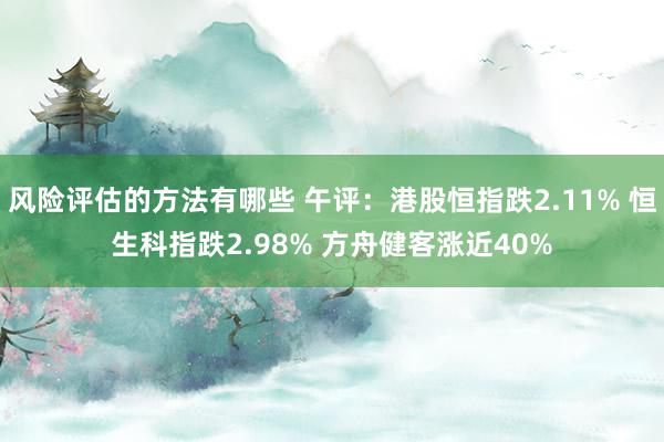 风险评估的方法有哪些 午评：港股恒指跌2.11% 恒生科指跌2.98% 方舟健客涨近40%