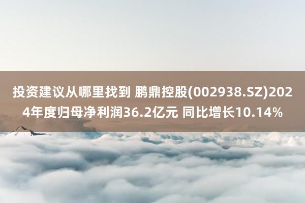 投资建议从哪里找到 鹏鼎控股(002938.SZ)2024年度归母净利润36.2亿元 同比增长10.14%