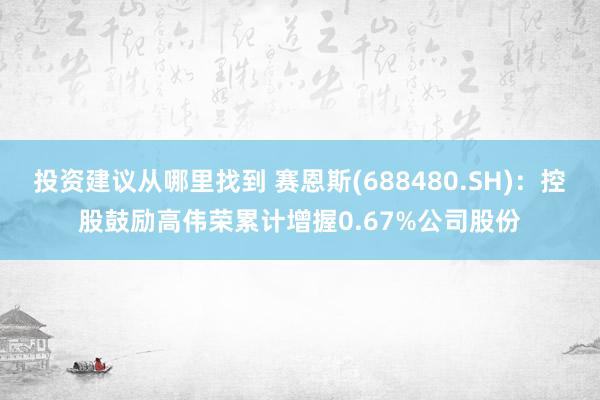 投资建议从哪里找到 赛恩斯(688480.SH)：控股鼓励高伟荣累计增握0.67%公司股份