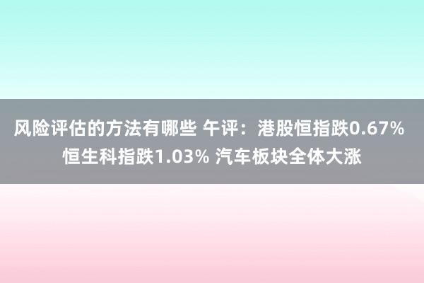 风险评估的方法有哪些 午评：港股恒指跌0.67% 恒生科指跌1.03% 汽车板块全体大涨