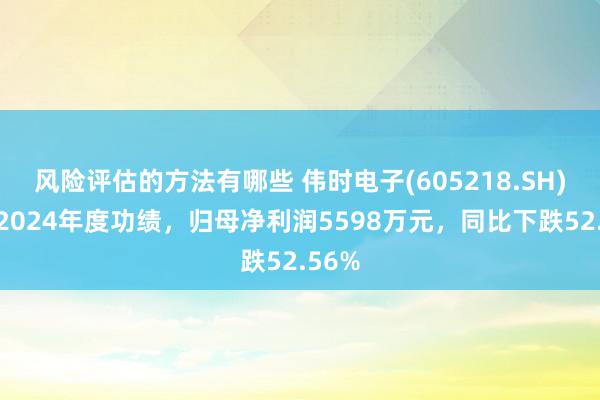 风险评估的方法有哪些 伟时电子(605218.SH)发布2024年度功绩，归母净利润5598万元，同比下跌52.56%