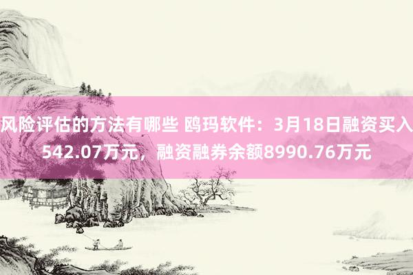 风险评估的方法有哪些 鸥玛软件：3月18日融资买入542.07万元，融资融券余额8990.76万元